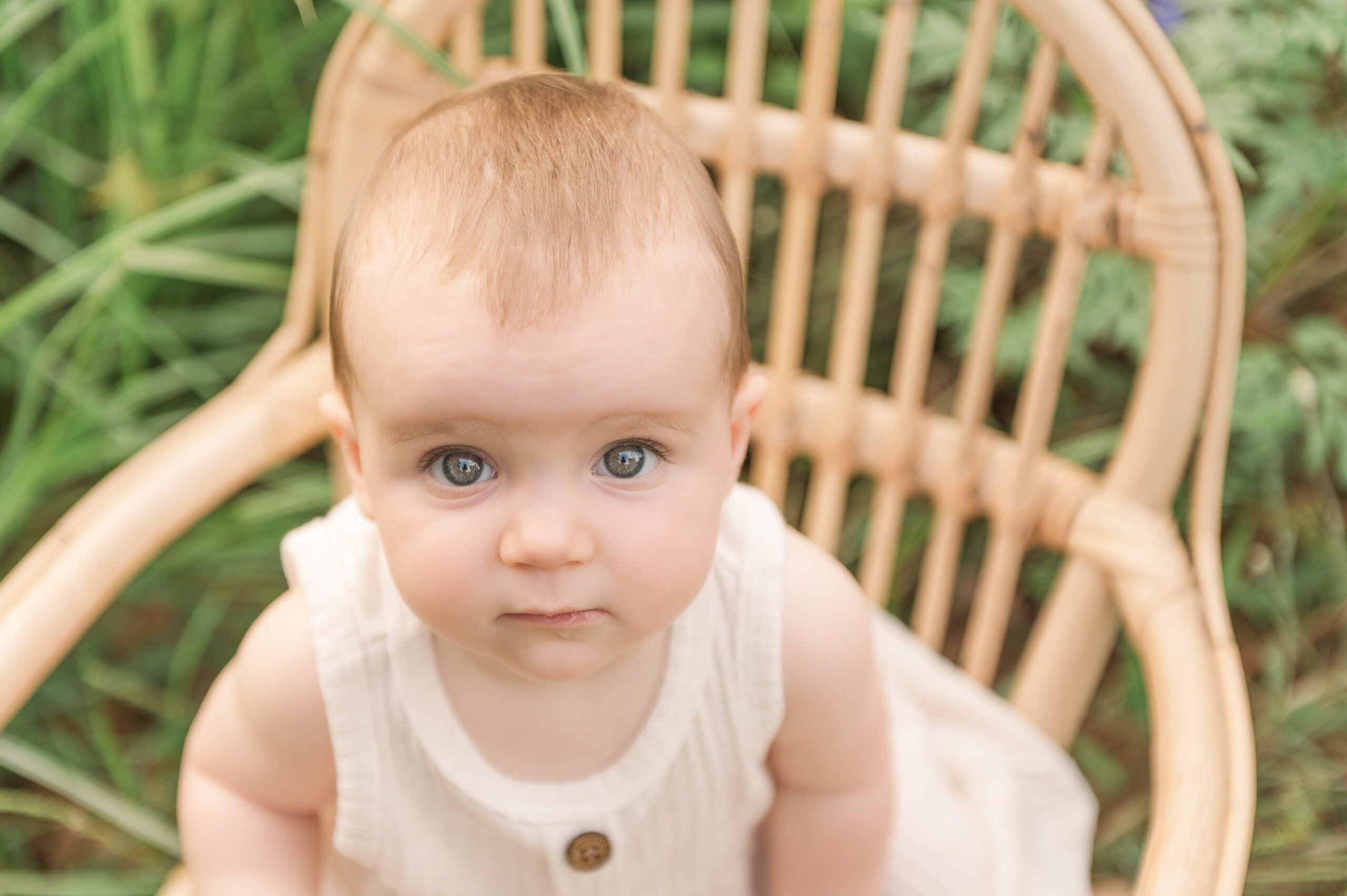 Baby girl photo session in a wildflower meadow in Dover, PA