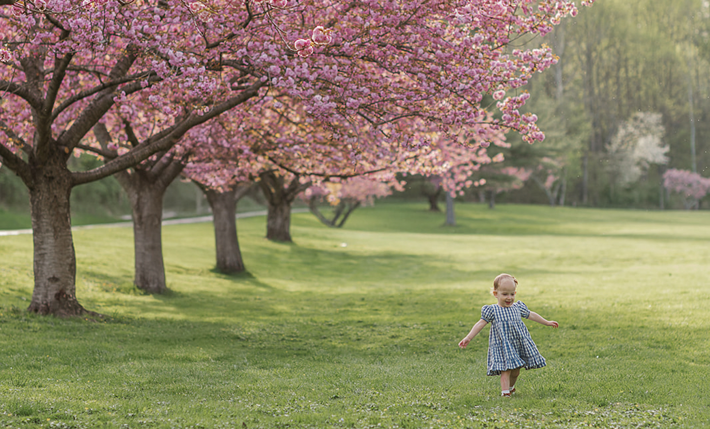 little girl running in grass under a cherry blossom tree by lancaster pa photographer