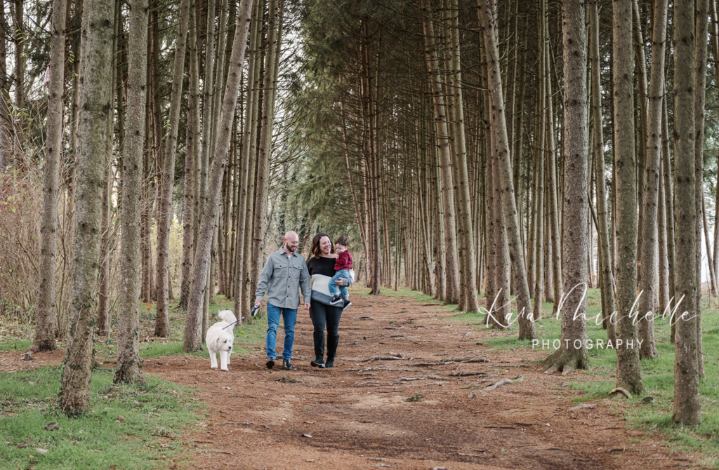 family walking together with their dog during family session by photographer york pa