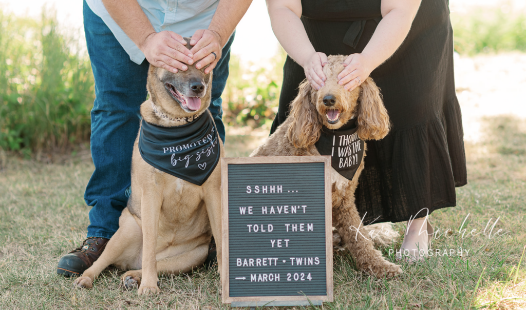 Including pets during maternity session by photographer york pa