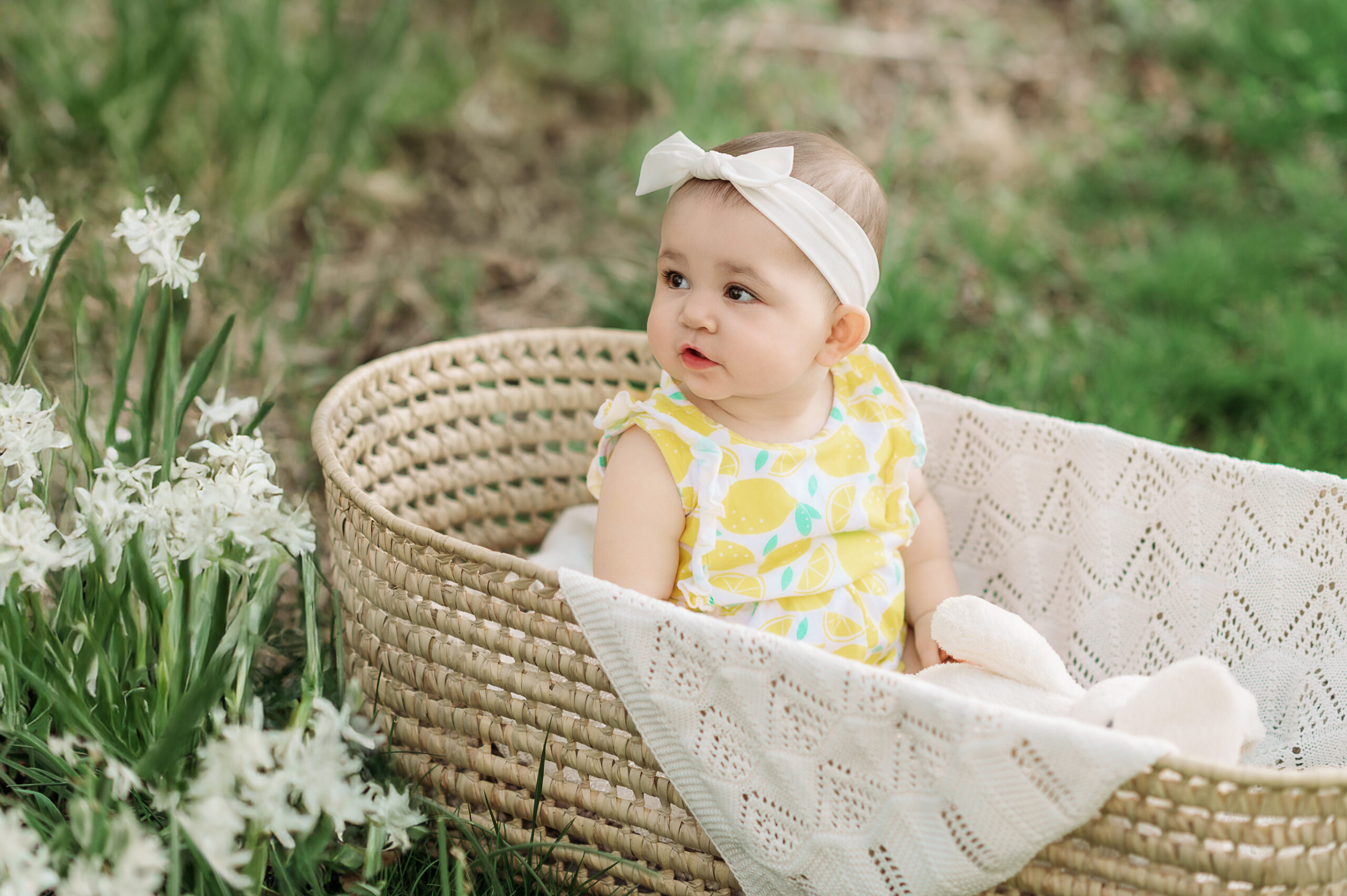 York Harriburg Lancaster Photographer