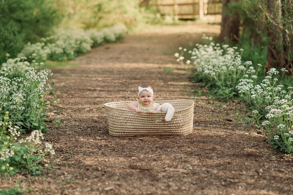 baby sitting in basket during spring mini photo session at Stillmeadow Park York PA