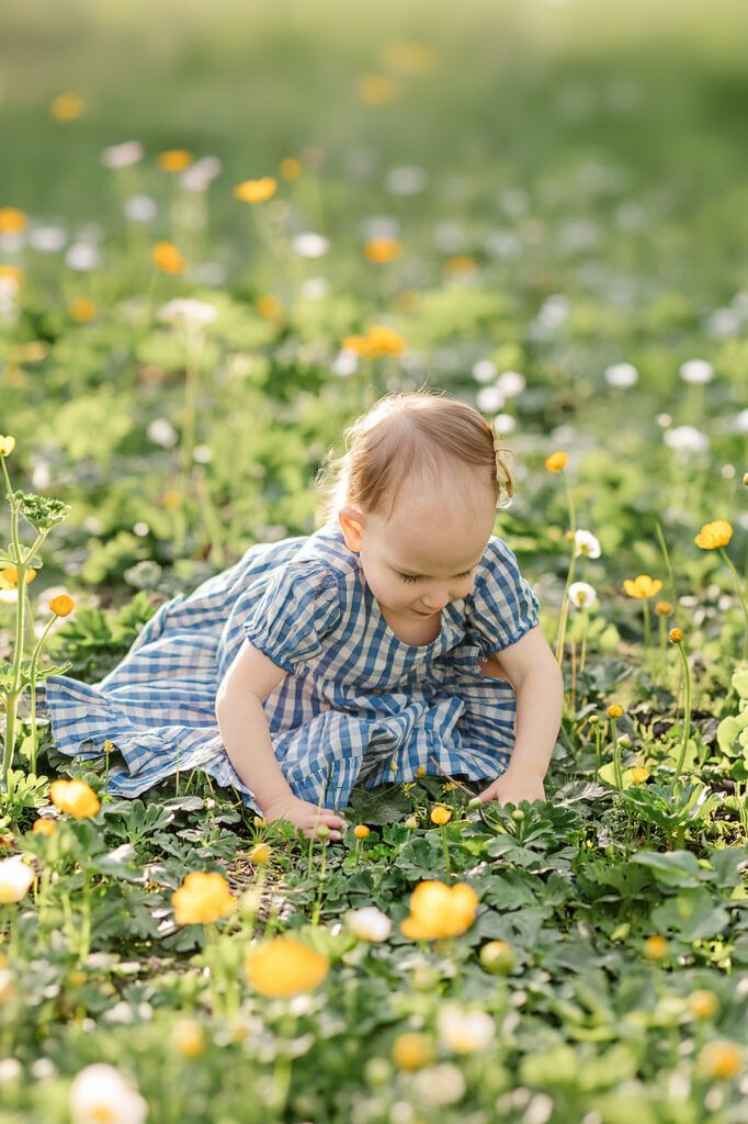 little girl playing in buttercups during spring mini session in York PA