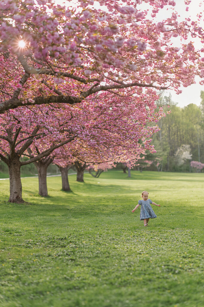 child running through cherry blossoms during spring mini session at Long’s Park Lancaster PA