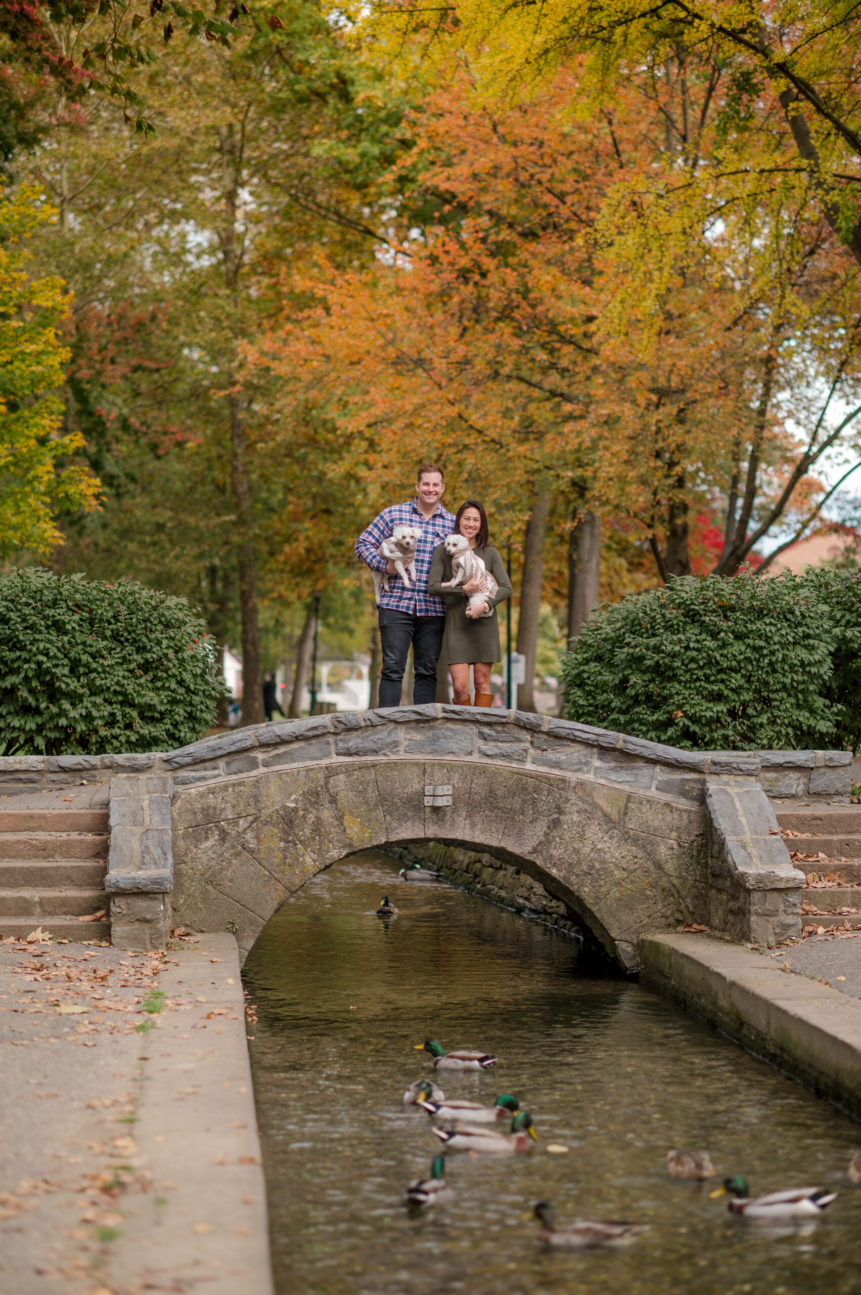Couple holding their two dogs on a stone bridge surrounded by colorful fall trees at Lititz Springs Park in Lititz, PA.