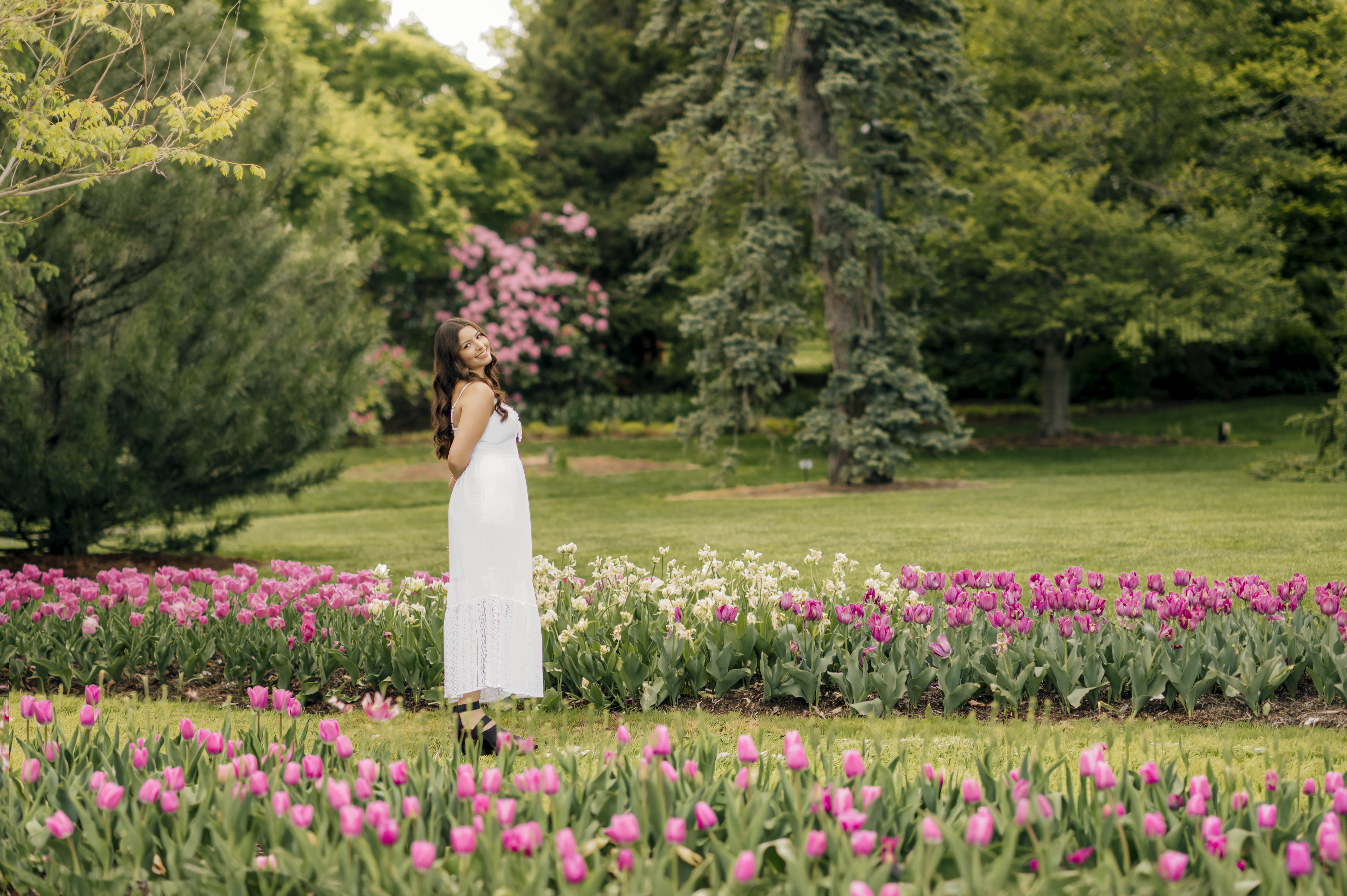 Senior girl in white dress surrounded by spring tulips during senior pictures in Hershey PA